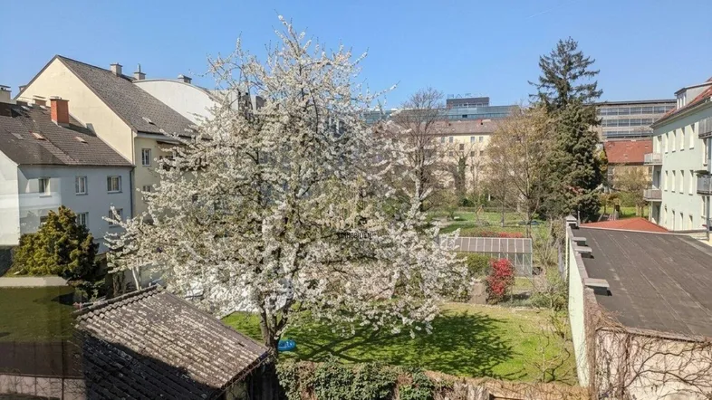 Sonniger Blick auf den grünen Innenhof mit blühendem Baum und umliegenden Gebäuden.