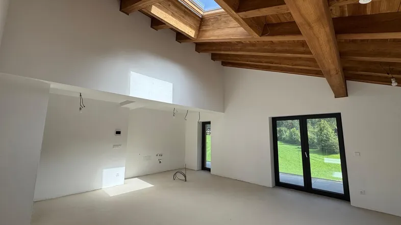 Heller, offener Raum mit hohen Holzdecken, Dachfenster und Zugang zu einer grünen Außenfläche.