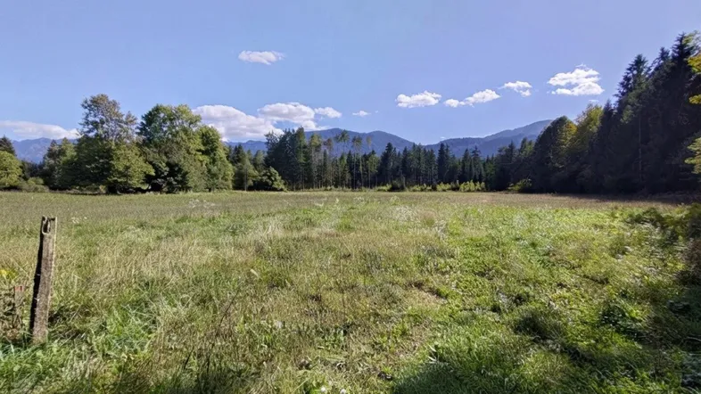 Weite grüne Wiesenlandschaft mit bewaldeten Hügeln und Bergen im Hintergrund unter blauem Himmel.