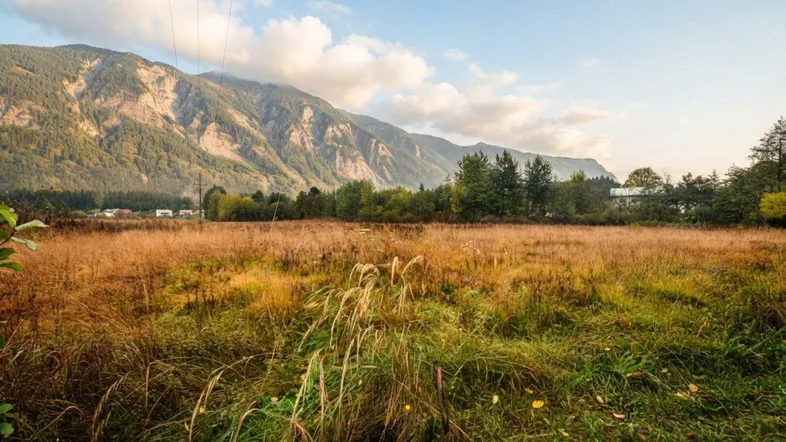 Weites Feld mit hohem Gras und Blick auf majestätische Berge unter einem blauen Himmel.