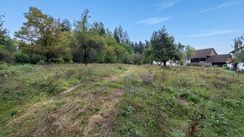 Weitläufiges, grünes Grundstück mit Bäumen und Blick auf umliegende Häuser unter blauem Himmel.