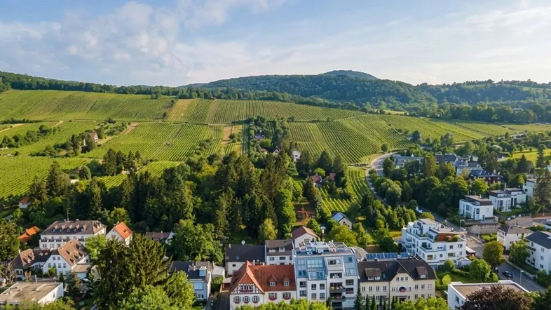 Malerische Luftaufnahme einer Siedlung mit Weinbergen und grünen Hügeln unter blauem Himmel.