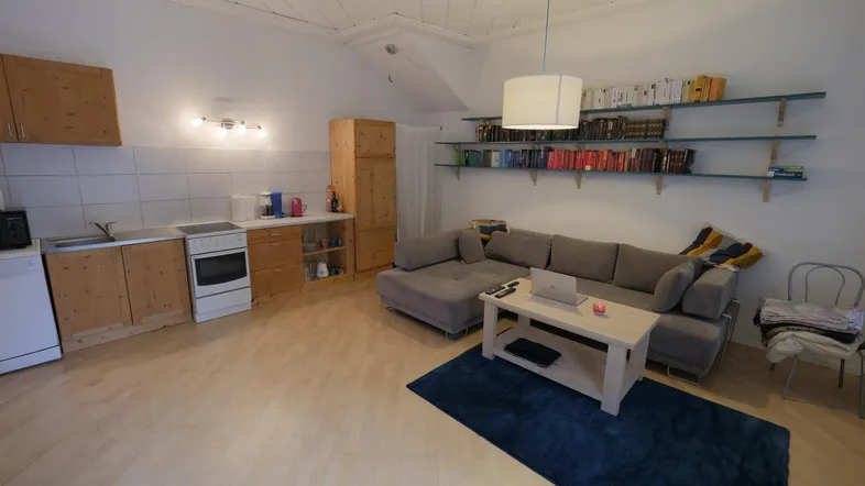 Offener Wohnbereich mit integrierter Küchenzeile, Sofa, Couchtisch und Bücherregalen.