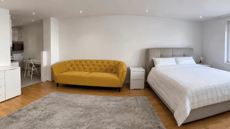 Helles Studio-Apartment mit offenem Wohn- und Schlafbereich sowie integrierter Küchenzeile.