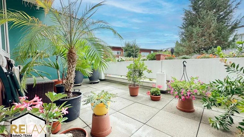 Geräumige Terrasse mit vielen Pflanzen und Blick auf die umliegenden Gebäude.