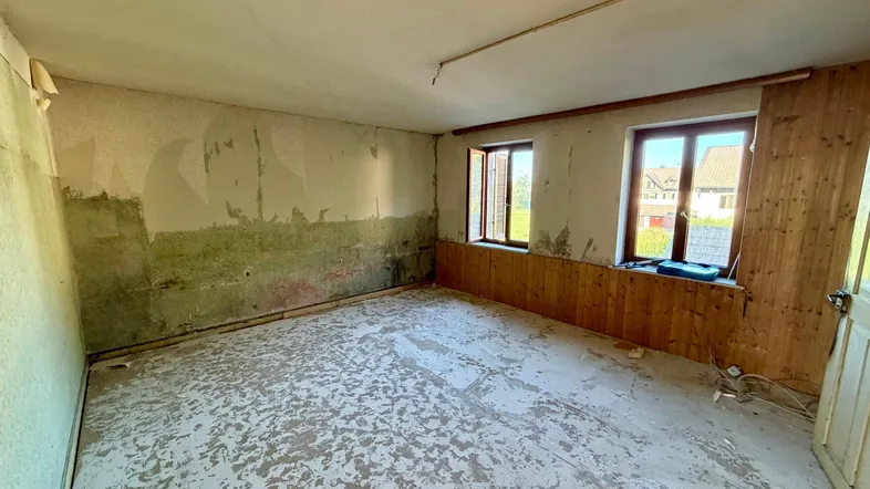 Leerer Raum in schlechtem Zustand mit abblätternder Tapete und Blick ins Grüne.