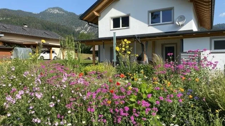 Blühender Vorgarten mit vielfältigen Blumen und Blick auf das moderne Einfamilienhaus und die Berge.