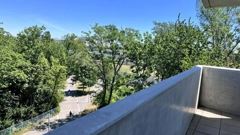 Blick vom Balkon auf grüne Bäume und einen Fußweg unter blauem Himmel.