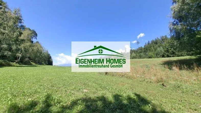 Weitläufige grüne Wiese umgeben von Bäumen unter einem klaren blauen Himmel.