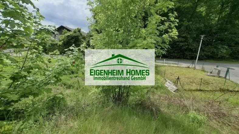 Grünes Grundstück mit Bäumen und Sträuchern, umgeben von Natur in ländlicher Umgebung.