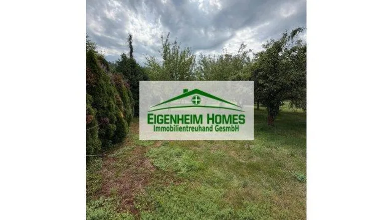 Grüne Außenanlage mit Bäumen und Hecken unter bewölktem Himmel, ideal für Naturliebhaber.