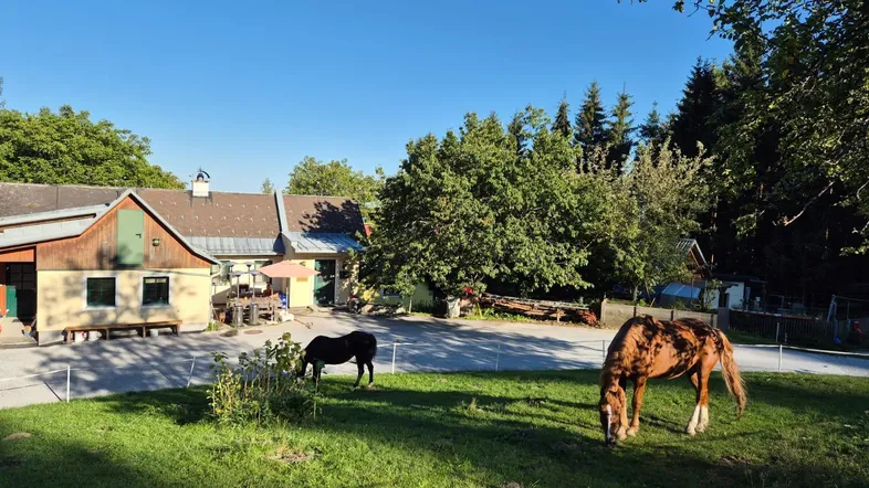 Idyllisches Anwesen mit mehreren Gebäuden und weidenden Pferden in ländlicher Umgebung unter blauem Himmel.