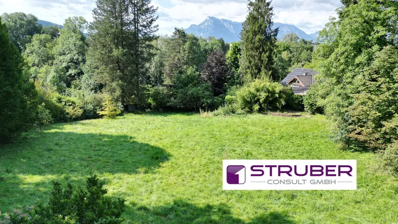 Weitläufiges grünes Grundstück umgeben von Bäumen mit Bergblick im Hintergrund.