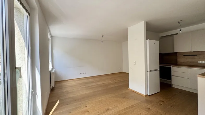 Heller offener Wohnbereich mit integrierter Küche, Holzboden und großen Fenstern für viel Tageslicht.