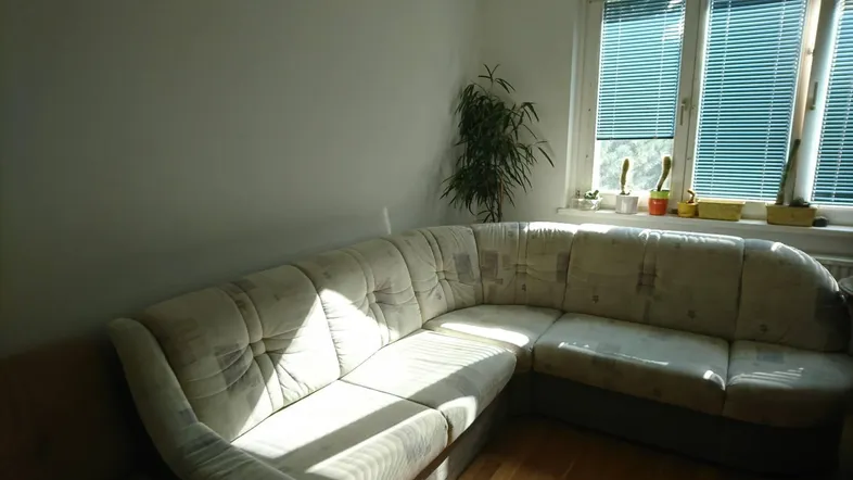 Helles Wohnzimmer mit Ecksofa, Holzfußboden und Fenster mit Jalousien, das viel Tageslicht hereinlässt.