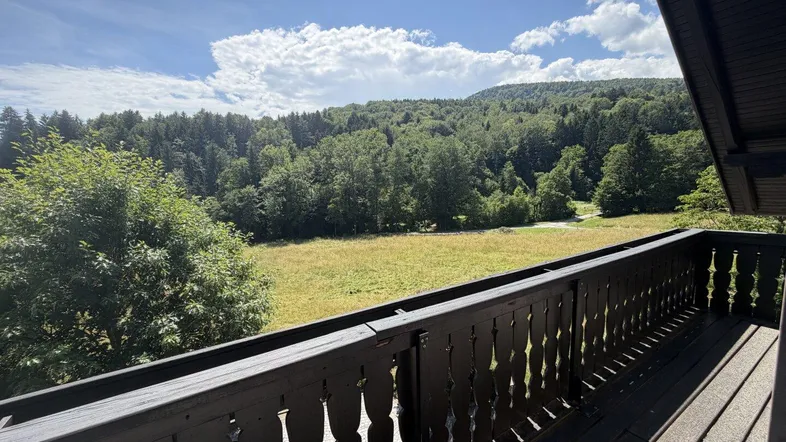 Balkon mit Holzboden und traditionellem Geländer, bietet weiten Blick auf Wälder und Wiesen.