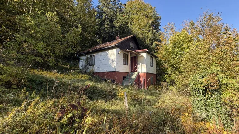 Ansicht Ost - straßenseitig