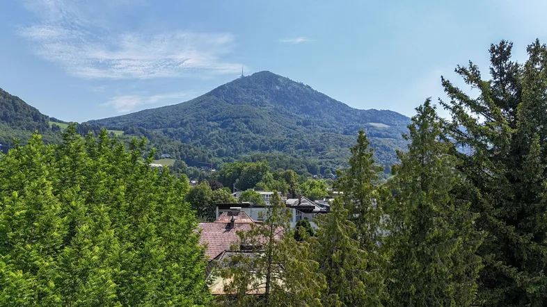 Blick auf bewaldete Berge und die umliegende Wohngegend mit viel Grün und klarem Himmel.