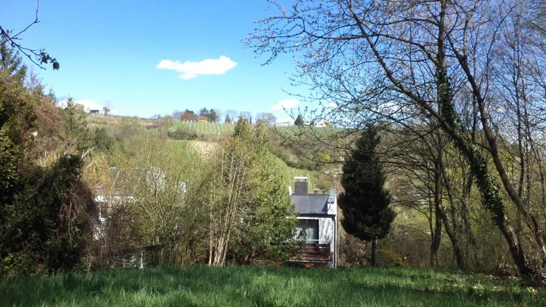 Blick auf ein Haus in einer grünen, hügeligen Landschaft mit Bäumen und Weinbergen im Hintergrund.