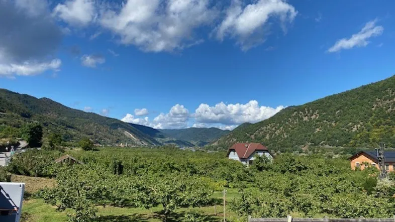 Weitläufige Landschaft mit grünen Hügeln, Obstbäumen und vereinzelten Häusern unter blauem Himmel.