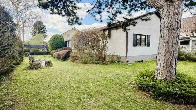 Gepflegter Gartenbereich mit Rasenfläche, altem Baumbestand und Blick auf das Haus.