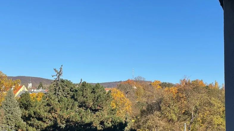 Herbstliche Landschaft mit Bäumen und einem Kirchturm unter klarem blauem Himmel.