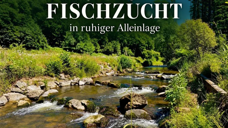Malerischer Flusslauf in einer ruhigen, bewaldeten Umgebung, ideal für Naturliebhaber und Erholungssuchende.