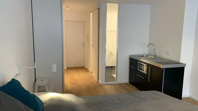 Modernes Studio-Apartment mit integrierter Küchenzeile und Schlafbereich.