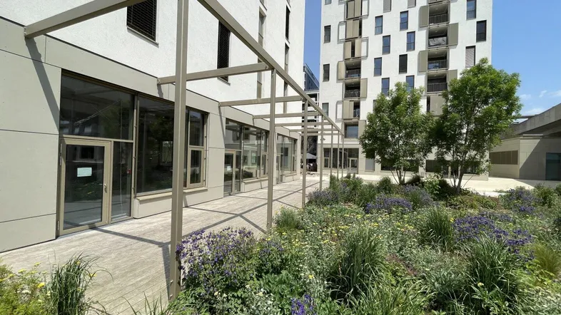 Moderne Gebäudefassade mit großen Glasfronten, einer Holzterrasse und einem blühenden Gartenbereich.