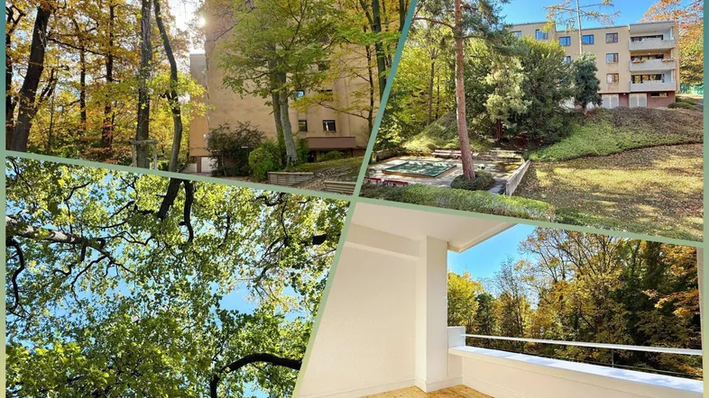 Collage mit Außenansichten des Gebäudes, umgeben von Herbstbäumen und einem Blick vom Balkon.