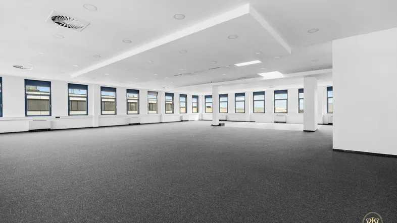 Großer, heller Büroraum mit Teppichboden und vielen Fenstern, ideal für flexible Arbeitsplatzgestaltung.