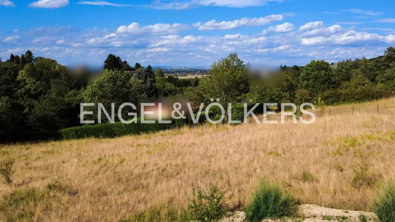Weitläufiges Grundstück mit trockener Wiese und bewaldetem Hintergrund, bietet einen weiten Blick.