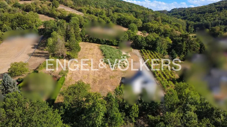 Luftaufnahme einer hügeligen Landschaft mit Wäldern, Feldern und Weinbergen, die eine weite Aussicht bietet.