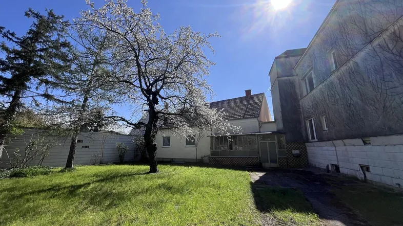 Großer Gartenbereich mit blühendem Baum und viel Grünfläche vor dem Gebäude.