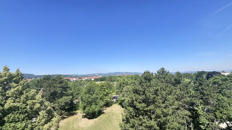 Weitläufiger Blick über grüne Baumwipfel und eine Wiese mit fernen Hügeln unter blauem Himmel.