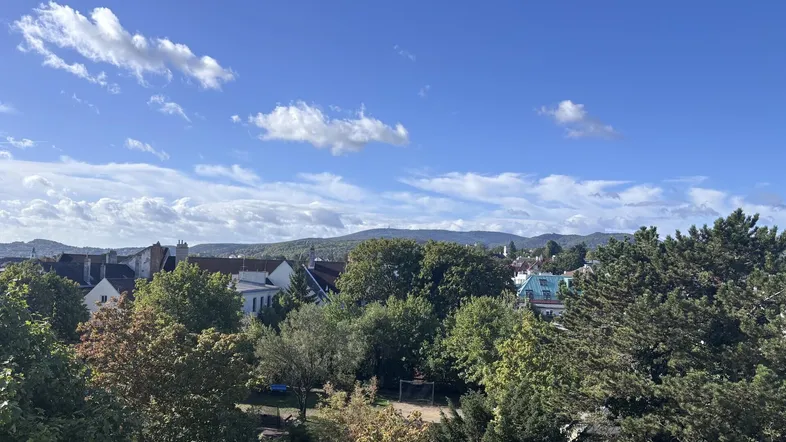 Weitblick über die Stadt, grüne Bäume und hügelige Landschaft unter blauem Himmel.