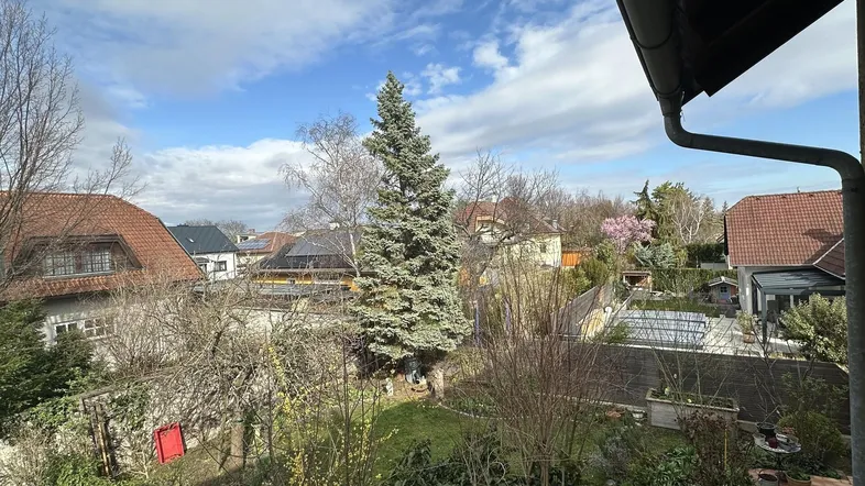 Blick auf den grünen Garten mit Bäumen und umliegenden Häusern unter bewölktem Himmel.