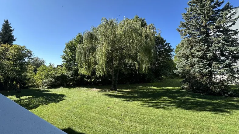 Blick ins Grüne