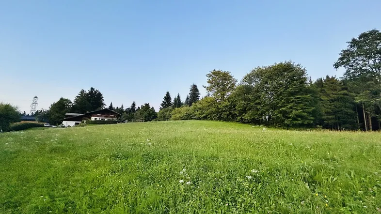 Grundstück am Pfänder