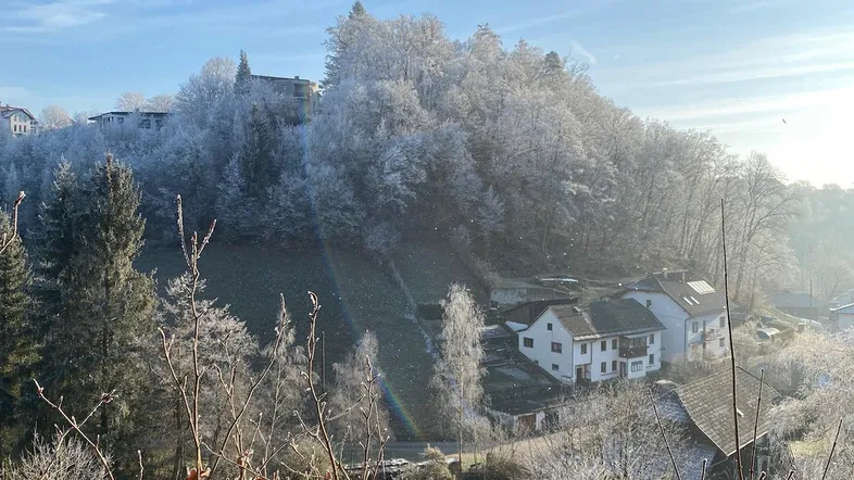 Winterliche Landschaft mit schneebedeckten Bäumen und Häusern in der Ferne unter blauem Himmel.