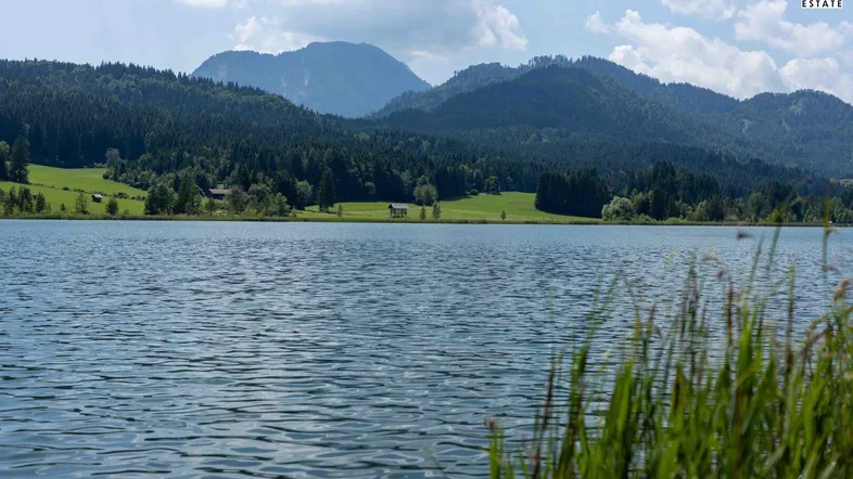 Ruhiger See mit bewaldeten Bergen im Hintergrund und Schilf im Vordergrund unter blauem Himmel.
