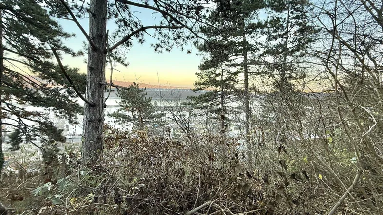 Panoramablick durch Bäume auf das Wasser und die Stadt bei Sonnenuntergang oder Sonnenaufgang.