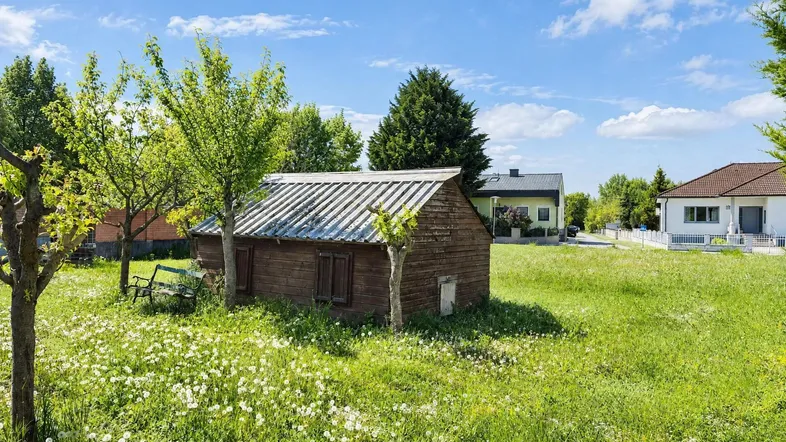 Großer Garten mit Rasenfläche, Obstbäumen und einem kleinen Holzschuppen unter blauem Himmel.