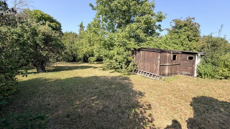 Großer, sonniger Gartenbereich mit Rasenfläche, altem Baumbestand und einem kleinen Holzschuppen.