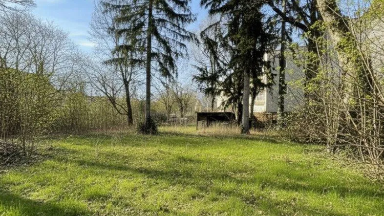 Großzügige Grünfläche mit altem Baumbestand unter blauem Himmel, ideal für Gartenliebhaber.