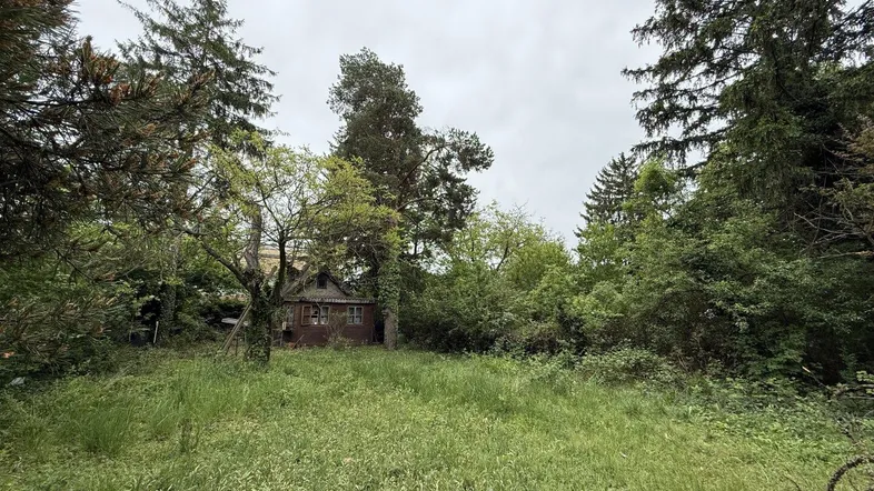 Großes, naturbelassenes Gartengrundstück mit altem Baumbestand und einer kleinen Hütte im Hintergrund.