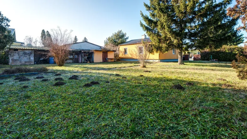 Großer Gartenbereich mit Rasenfläche, Bäumen und einem Nebengebäude im Hintergrund.