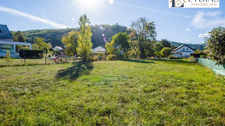 Weitläufige Rasenfläche eines Gartens mit sonnigem Ausblick auf die umliegende Landschaft und Häuser.