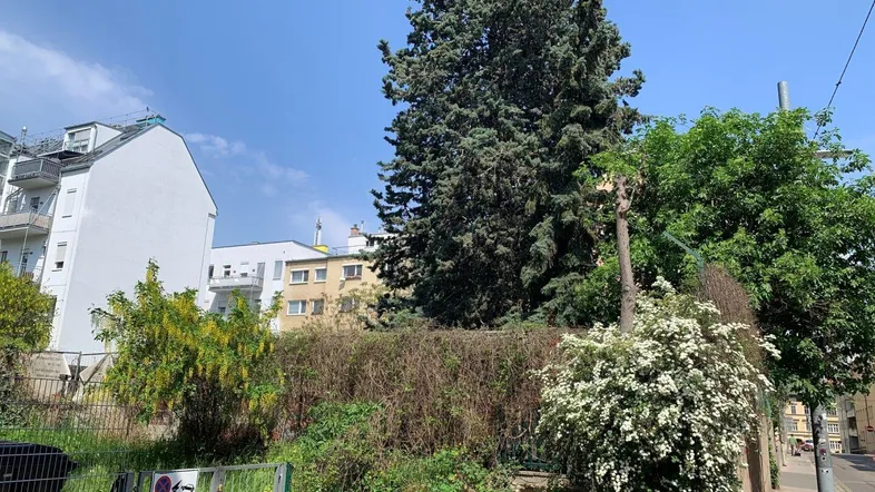 Grünfläche mit Bäumen und Hecken in städtischer Umgebung, umgeben von Wohngebäuden.