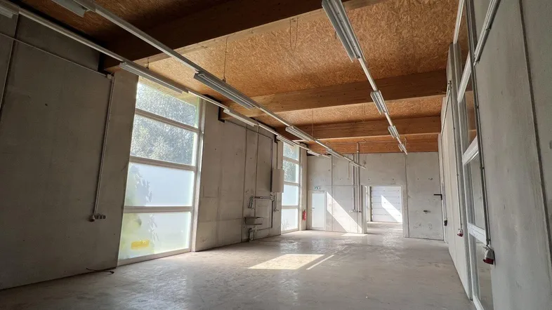 Großer, heller Industrieraum mit hohen Decken, Betonboden und Holzverkleidung an der Decke.
